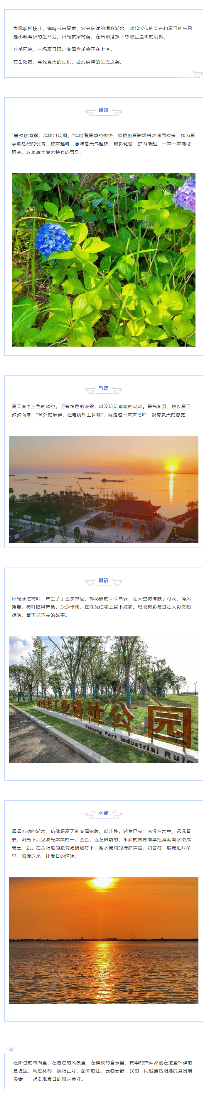 【夏日演奏會(huì)】在岳陽港，聆聽夏天的聲音.png